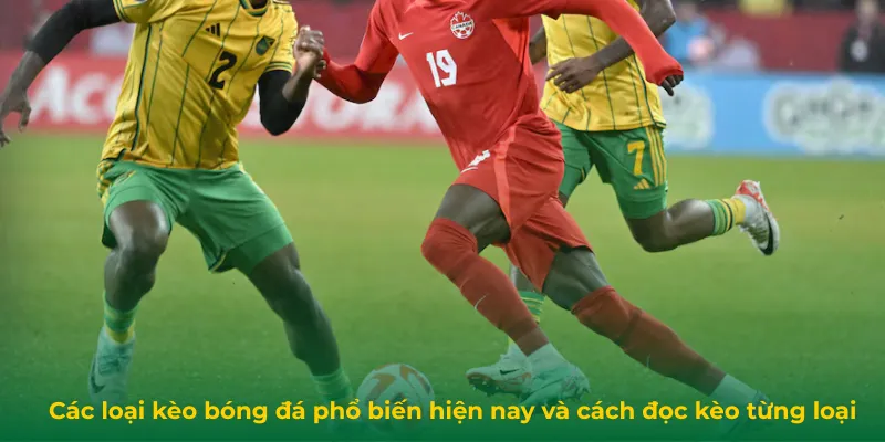 Kèo Bóng Đá Phổ Biến: 5 Loại Kèo Đáng Chú Ý Và Cách Đọc Kèo Các loại kèo bóng đá phổ biến hiện nay và cách đọc kèo từng loại