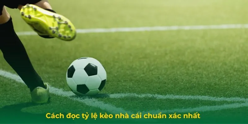 Cách đọc tỷ lệ kèo nhà cái chuẩn xác nhất