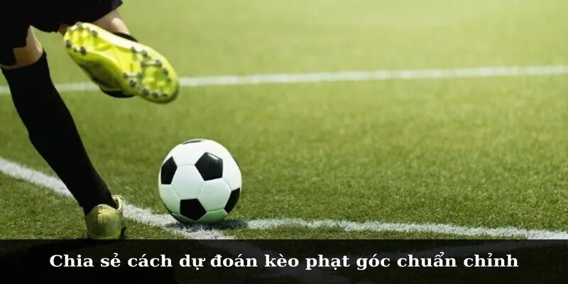 Những Cách Phân Tích Kèo Phạt Góc Chuẩn Cho Tân Thủ Chia sẻ cách dự đoán kèo phạt góc chuẩn chỉnh