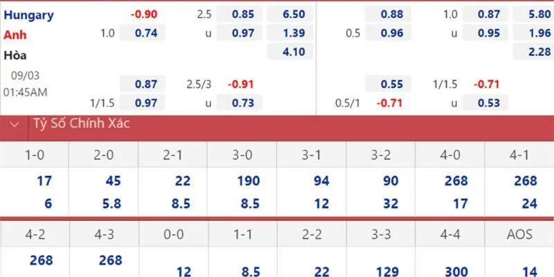 Đánh giá tổng quan về kèo tỷ số chính xác