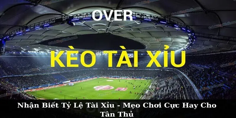 Nhận Biết Tỷ Lệ Kèo Tài Xỉu
