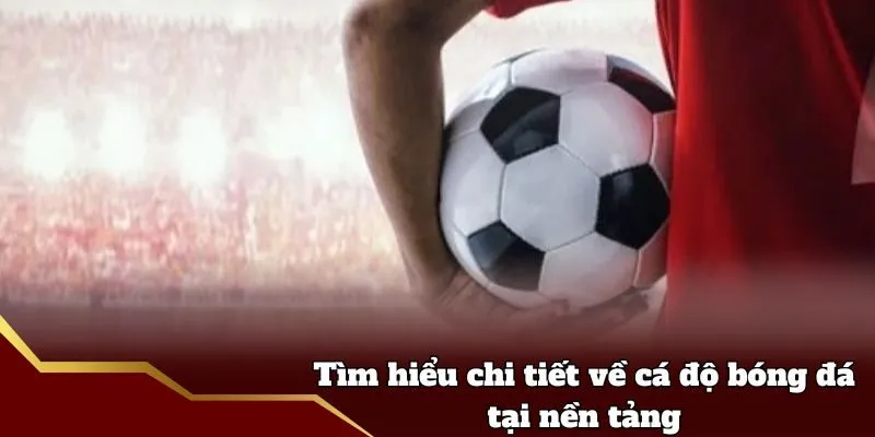 Tìm hiểu chi tiết về cá độ bóng đá tại nền tảng